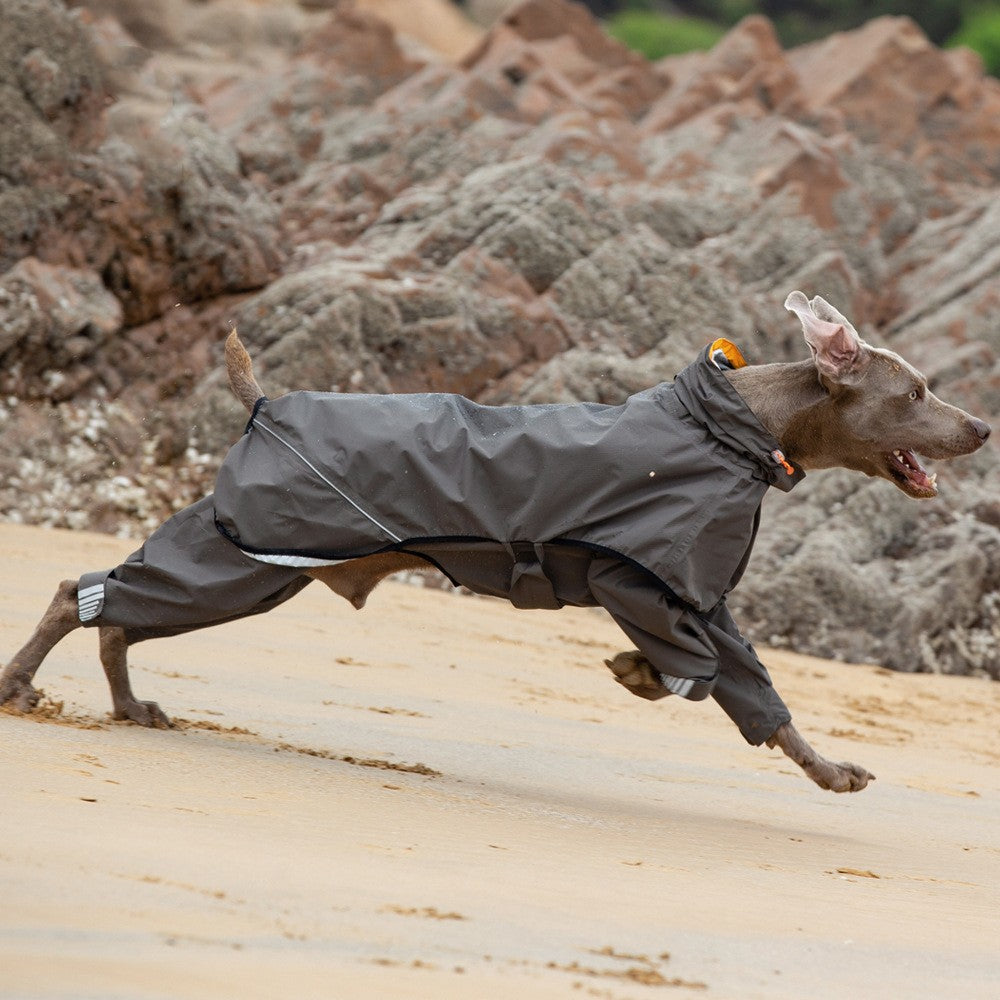 Keep Your Furry Friends Dry with Our Four-Legged Waterproof Pet Raincoat Poncho